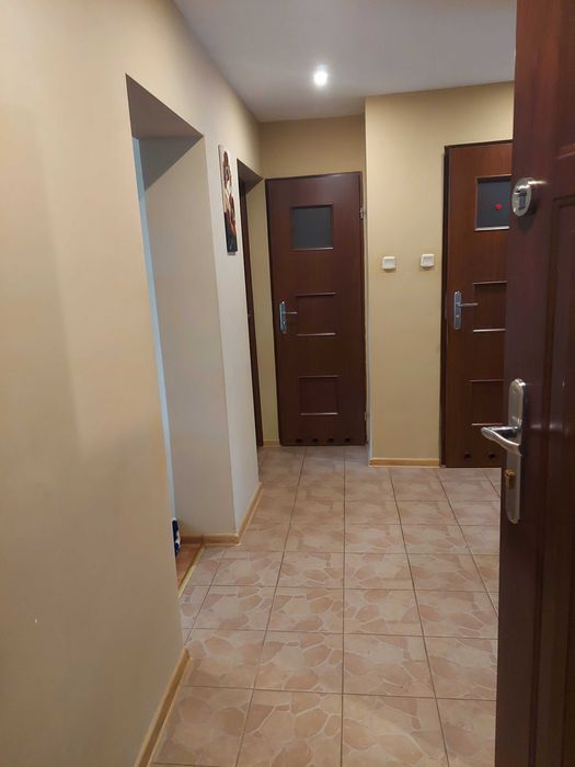 Wynajmę ładne mieszkanie w spokojnej dzielnicy Chełma