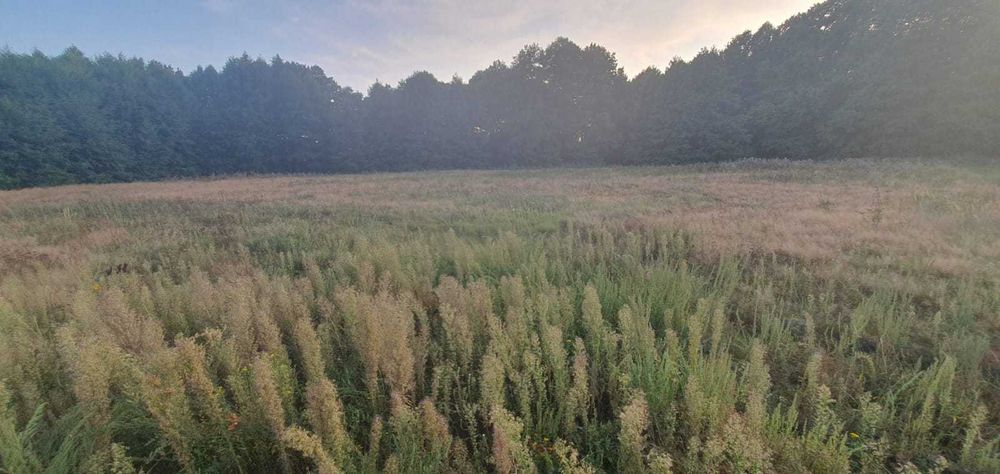 Działka inwestycyjna 1,8 ha – strefa przemysłowa