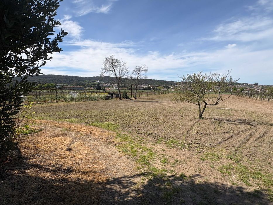 Quinta 67.000 m² | Braga (10 min do centro) | EN205