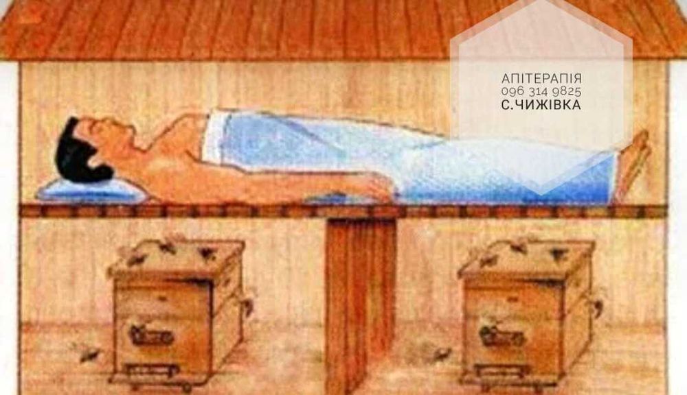 Апітерапія
Сон на вуликах
Сон на бджолах