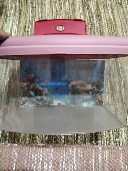 Aquário pequeno em plástico com tampa