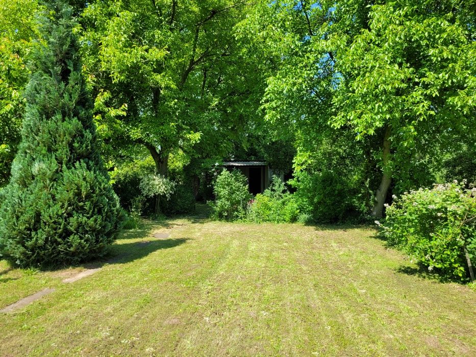 Działka rodo tulipan Legnica 4,80ar