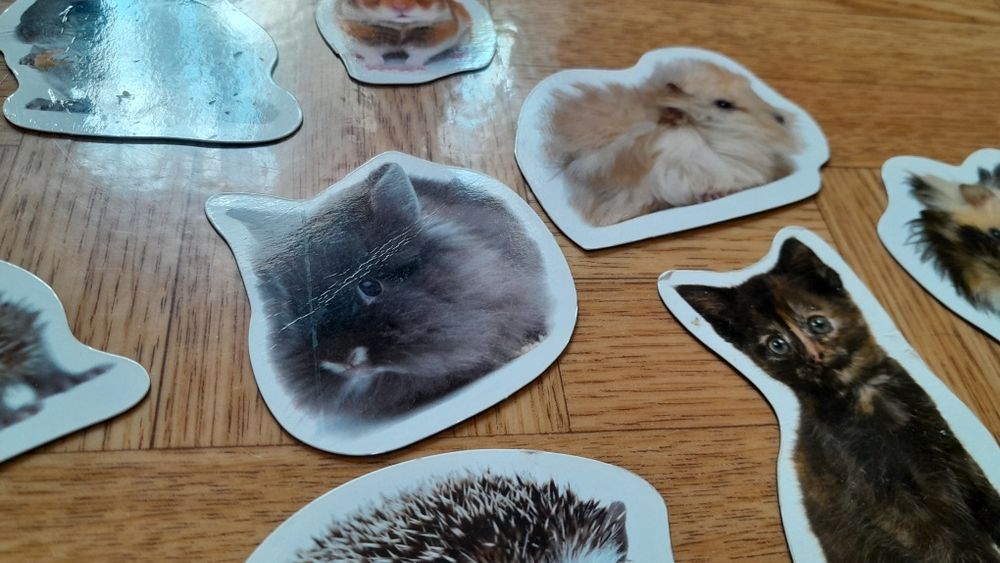 Magnesy na lodówkę ze zwierzętami