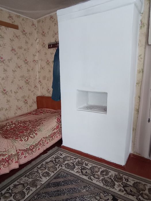 Будинок в 100км від Київа. Село Чемер.