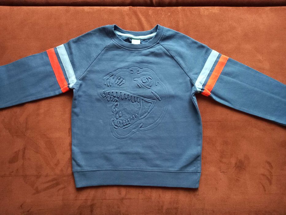 Bluza chłopięca z dinozaurem, r. 134
