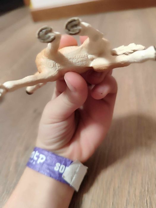 Schleich konik źrebak