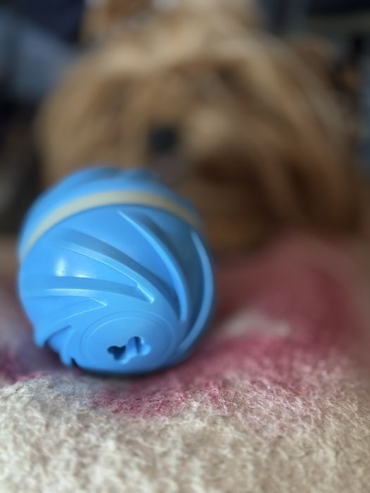 М'ячик для собак Cheerble Wickedball Cyclone C1801-C (Синій)