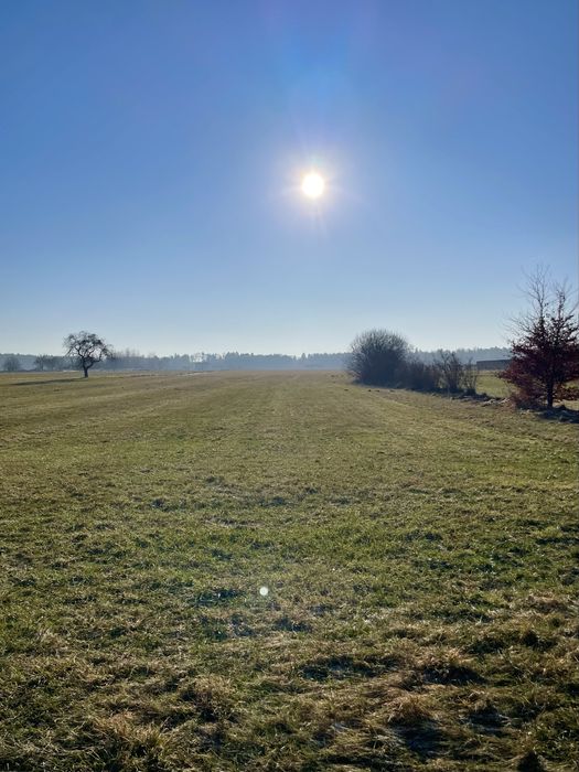 Działka 2ha (budowlana + rolna) pow. Sieradz gm. Warta