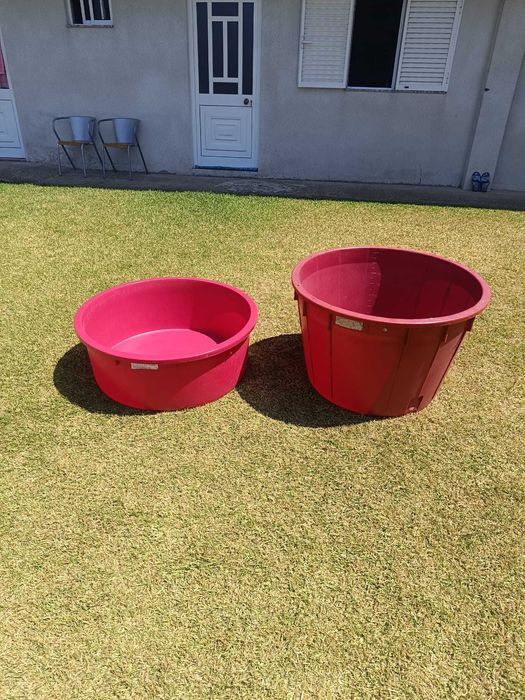 Dornas para vinho 200L – 2 disponíveis – Vindima