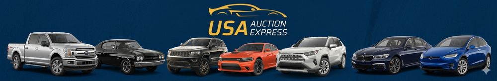 USA Auction Express top banner