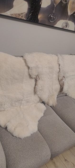 Owcze skóry sprzedam