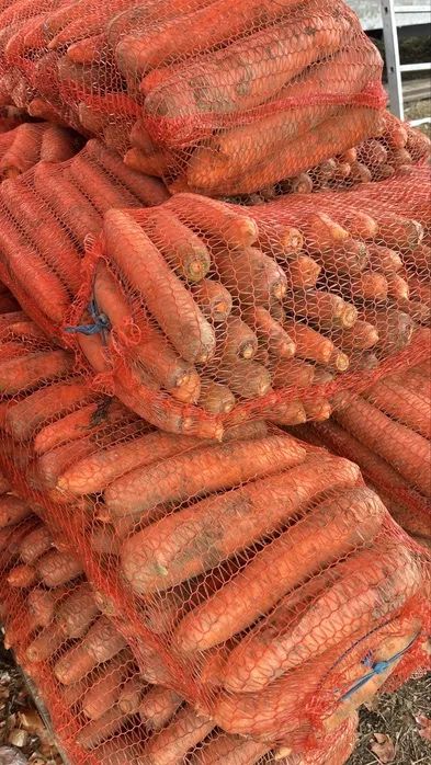 Продам моркву