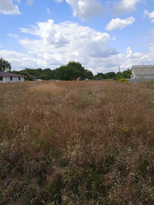 Продам земельну ділянку