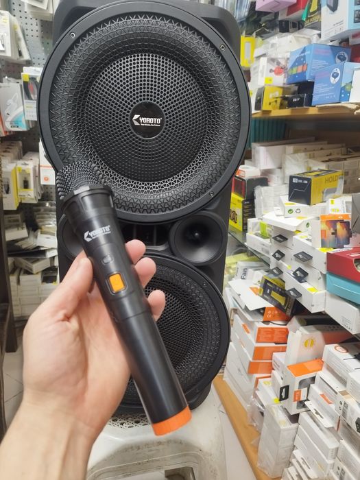 Karaoke Coluna Bluetooth com Microfone sem fio