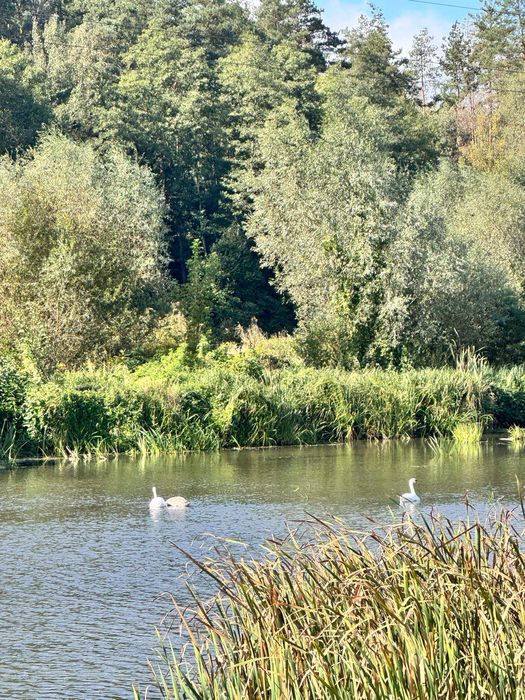 Эксклюзивна ділянка по низу ринка с.Ходосівка з власним пляжем!