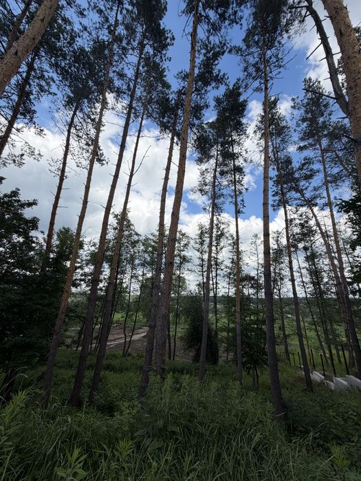 Без комісії В продажу ділянка 12.2 сотки землі Ходосівка, Кременища.  Ліс Річка Сосни. Елктрика Газ поруч. Метро Теремки 20 хв