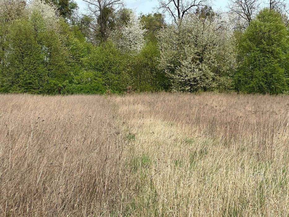 Продам фасадну ділянку в Ксаверівці