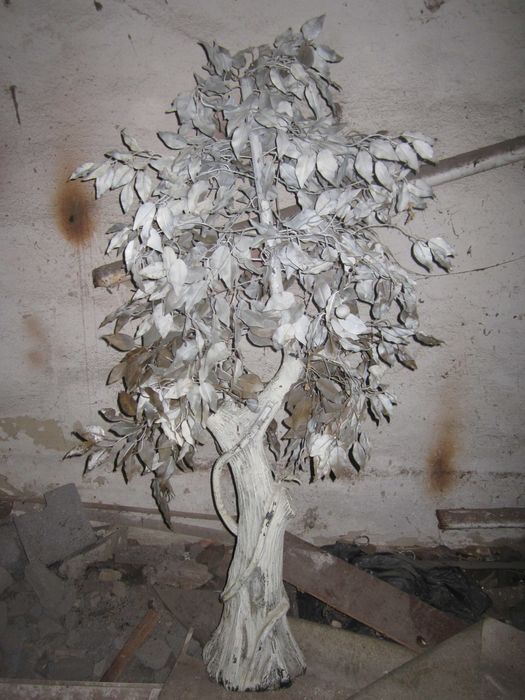 Дерево декоративное мандарин.Высота 1.50