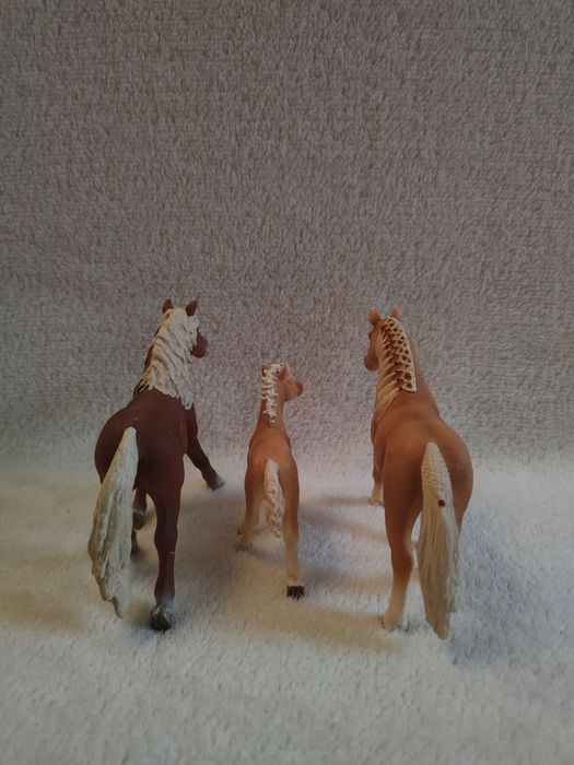 rodzina rasy haflinger schleich