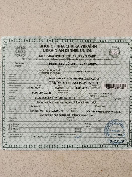 Німецька вівчарка