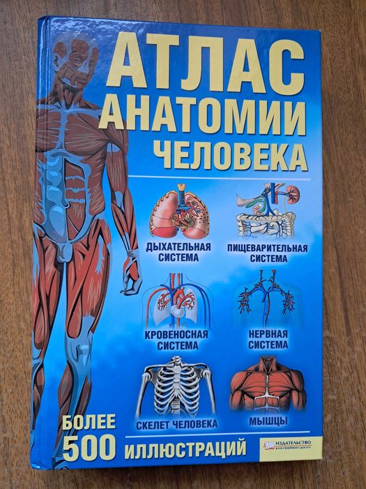 Атлас анатомии человека 2010 год
