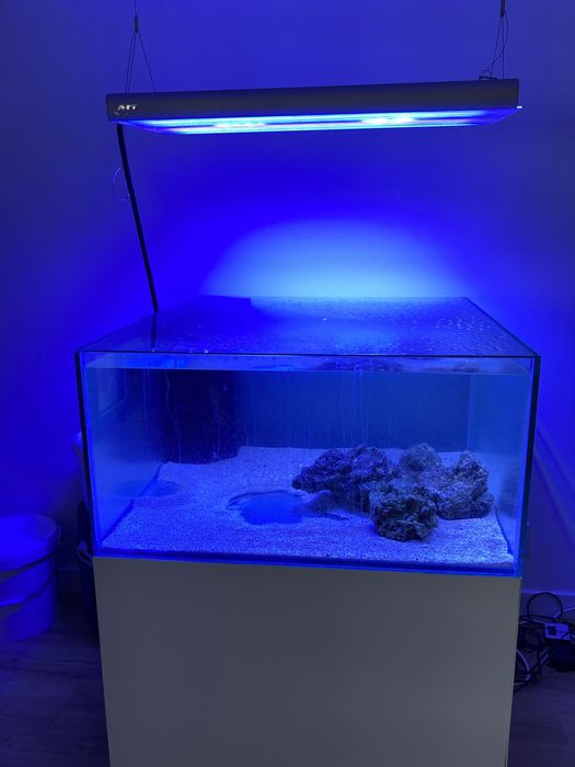 Reef Set 90 x 90