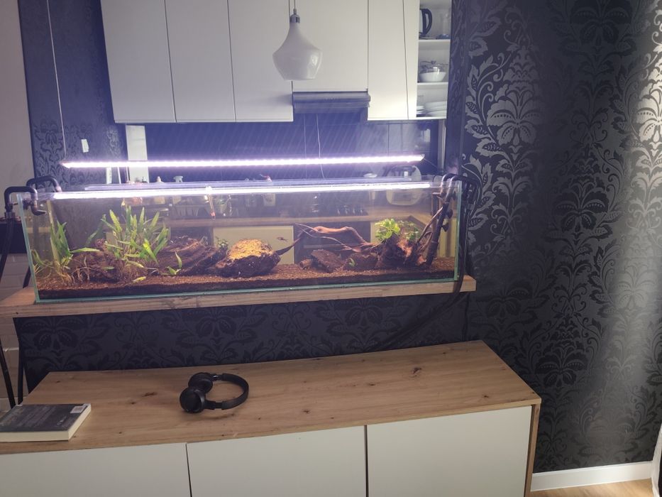 Akwarium  Jamnik okolo 130 litrów