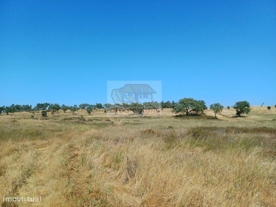 Terreno com 7 hectares - viabilidade para habitação e Turismo