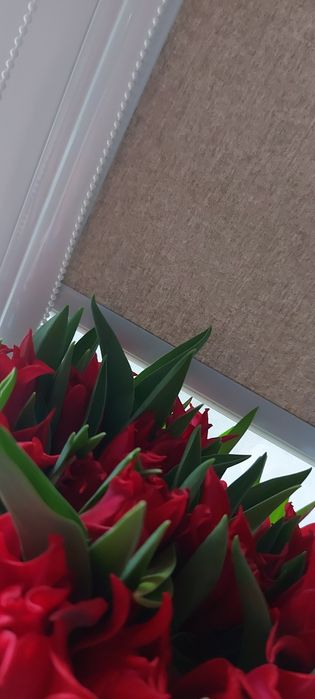 Rolety w kasecie - komplet 3 szt.