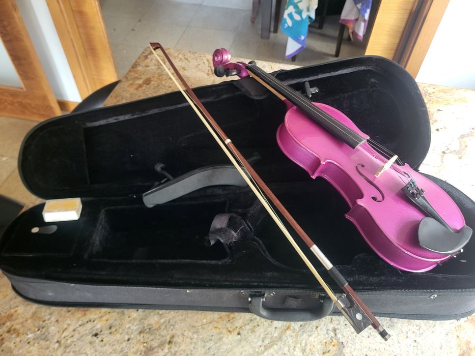 Violino  violeta