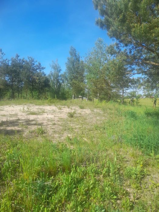 działka  unikalna z WZ ,Mazury, Narty, Brajniki, - Widok 4