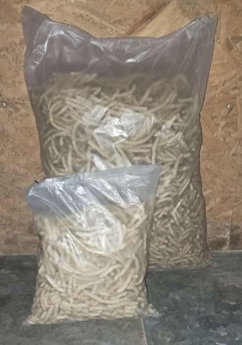 Корм для собак, сухий
