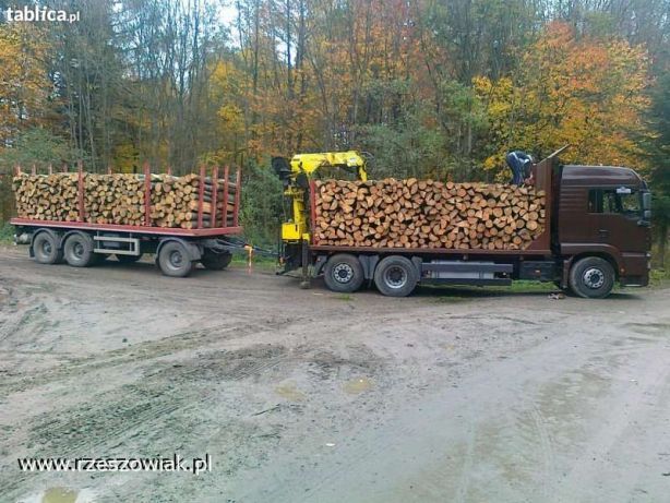 Дрова колоті дубові акація граб береза сосна дрова складометрами