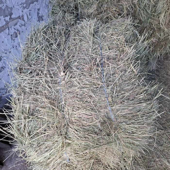 Сено луговое в тюках