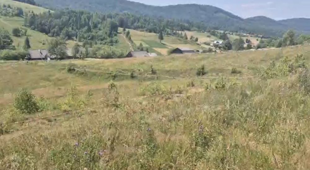 Земельна ділянка у Карпатах, біля Плаю, Криве