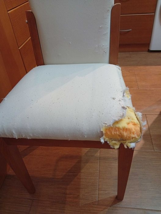 Cadeiras cozinha