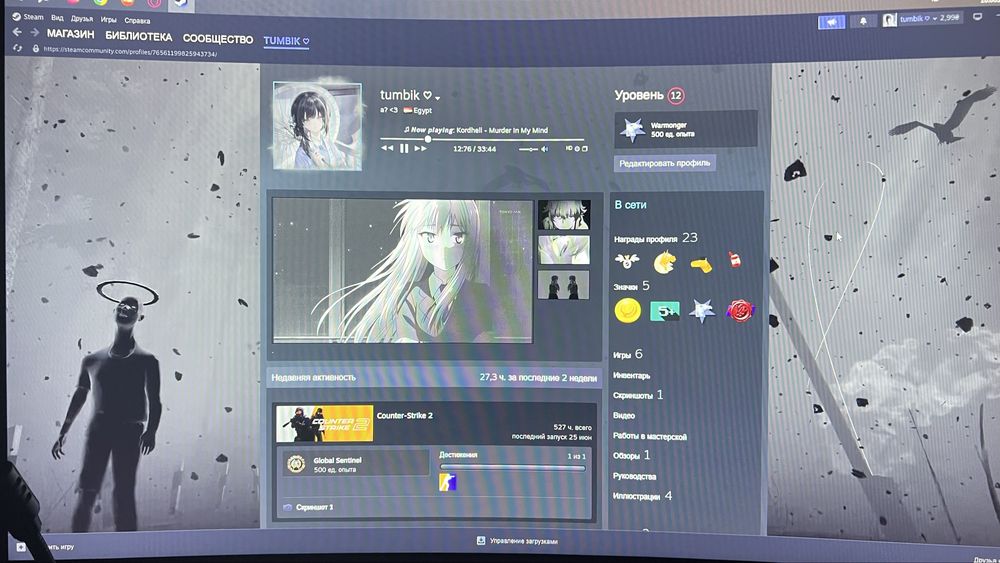 Cs 2 prime status кс 2 steam cs go кс го без бана аккаунт прайм игры ...