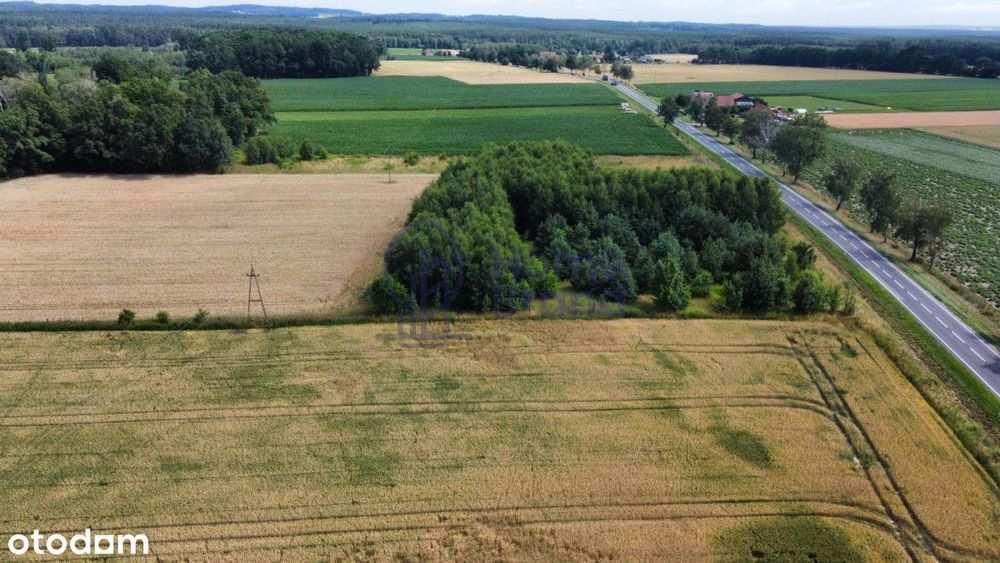 Działka budowlana 1480 m2 | Drołtowice