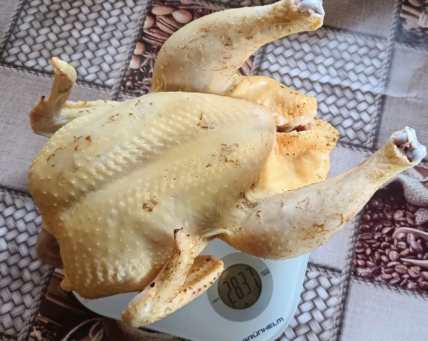 Домашні бройлери