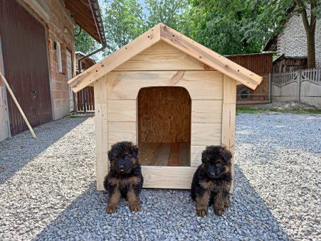 Buda dla psa ocieplana