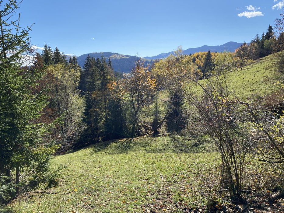 З двох сторін потічки. З трьох сторін дерева. Гарний заїзд