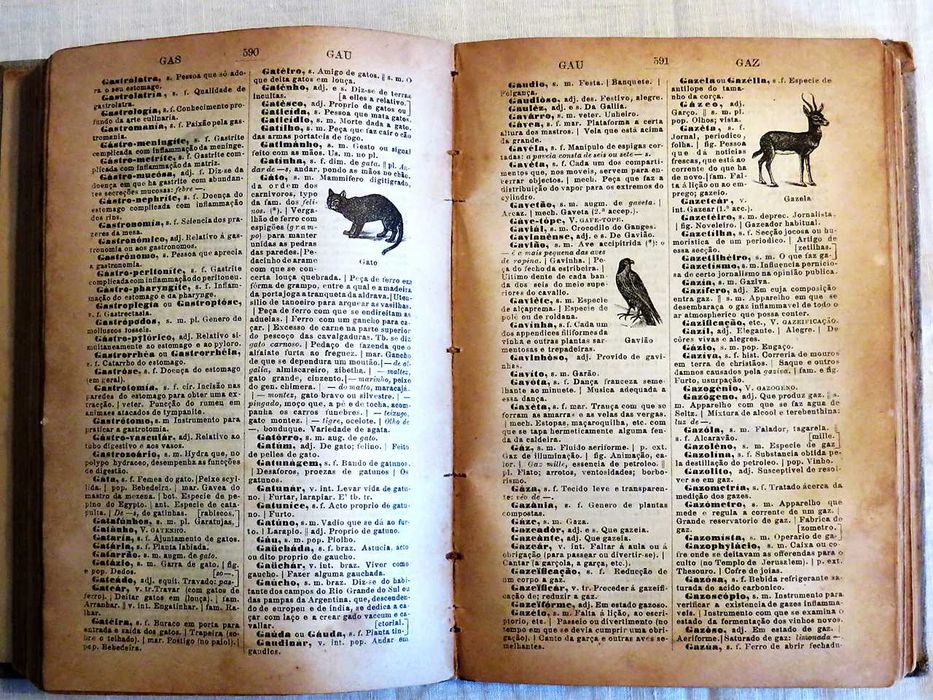 Diccionario Illustrado da Língua Portugueza