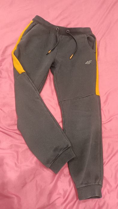 Spodnie Dresowe 4F