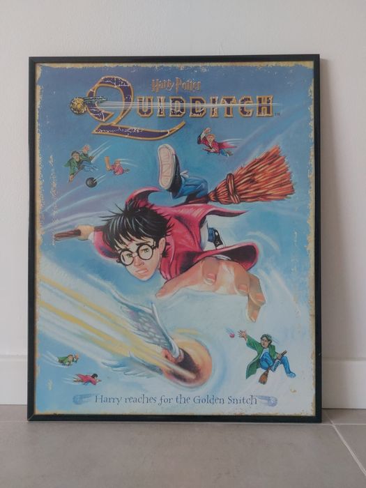 Harry potter quadro