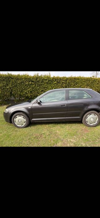 Audi A3 8P 2.0 TDI