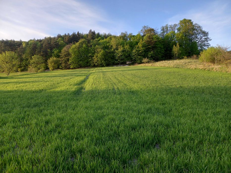 Działka budowlana 17 arów Piękny widok koło lasu - Widok 2