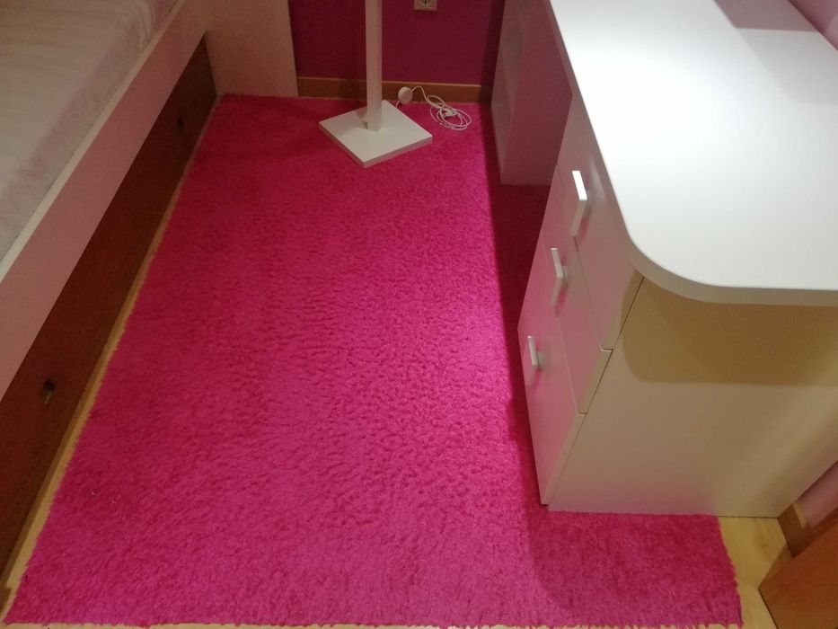 Secretária elegante robusta