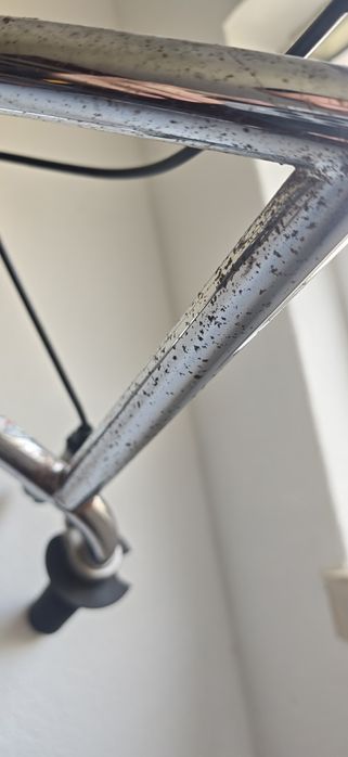BMX Mongoose Chameleon 1998