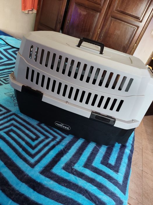 Transportadora de animais