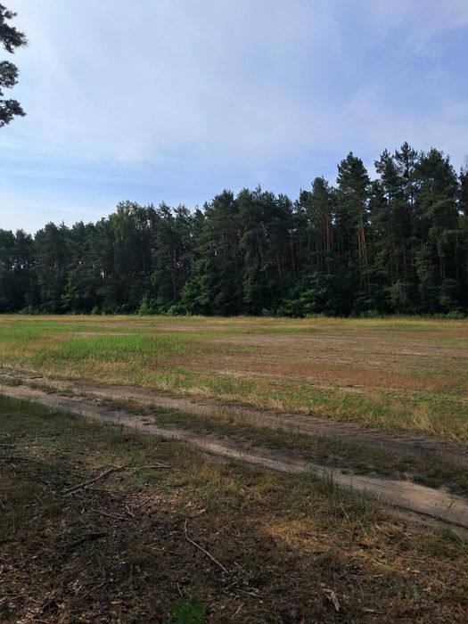 Działki budowlane